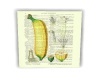 Banana On Page Canvas