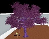 Purple Swing Tree
