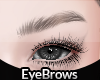 Brows Natural