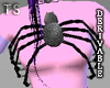 TS_Halloween Spider Top