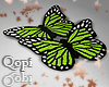 Butterfly Yellow Green