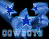 Jans Cowboys Pic