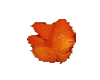 goldfish...animated