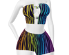 Colorful Zebra Print