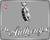 ChainRing|♥Anthony|f