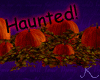 Pumpkin Patch, Haunted