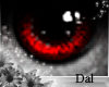 `Ⓓ`Doll Eyes 5