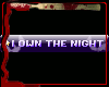 TS- I Own The Night