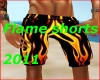 Flame Shorts 2011