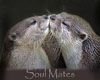 Otter Soul Mates sticker