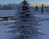 ! ! Winter Tree Lights