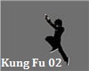 Kung Fu actions 02