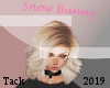 Snow Bunny Head Sign Pnk