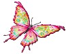 beautiful butterfly anti