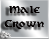 Male Crown