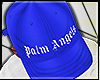 M | Palm Angels SB v5