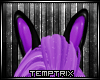 [TT] Bunnie Ears Purpl