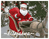 Santa Sleigh & Reindeers