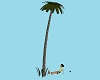 Anniv Island Drpng Palm