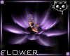 Flower Purple 3a Ⓚ