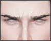 Realistic Eyebrows . MH