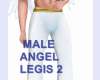 MALE ANGEL LEGIS 2
