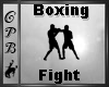 Boxing Fight
