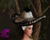 Mexican Hat  Mariachi