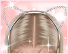 yBy Diamond Cat Ears