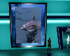 dolphin picture