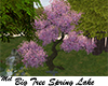 Big Tree Spring Lake