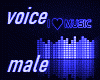 Voice