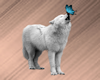 Wolf With Butterfly