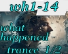 wh1-14 what happened1/2
