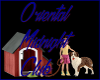Oriental Midnight Club