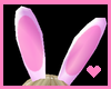 [M] cute bunny ears M+F