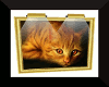 LITED FRAME  CAT PICTURE