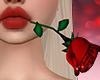 🌹Romantic Rose 🌹Romantic Rose