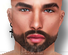 Mike Realistic Beard