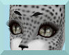 Silver Bobcat Brows (F)