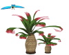 Anim Parrot/Plant/Sound