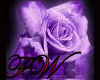Purple Rose Dance Floor