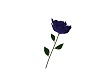 Dark Rose Love Pose