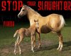 STOP OUR SLAUGHTER