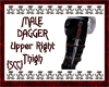 {SCC}Dagger -Right Thigh