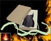 HF Slave Gift - Black