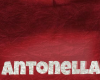 pillow+shirt Antonella