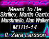 Meant To Be, Z Larsson