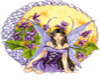 Violet Fairy