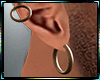 Hopps Earring Set D Brwn
